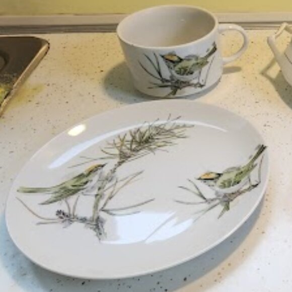 Vintage 1976 Enesco Fine China "Song Birds" Mug & Dinner Plate - Picture 1 of 3